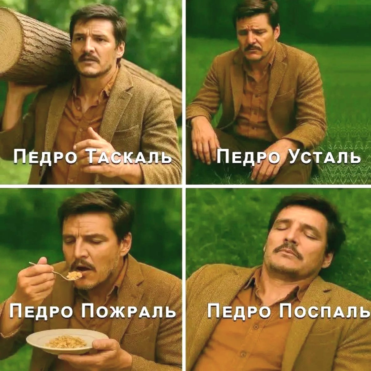 Гумор меми і приколи Сема 😹✌️ tweet media