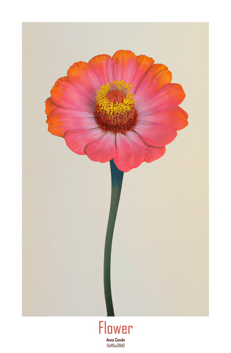 Ahmetozturkmahi's tweet image. FLOWER #flos
Anna Condo
@a1111ac011d0