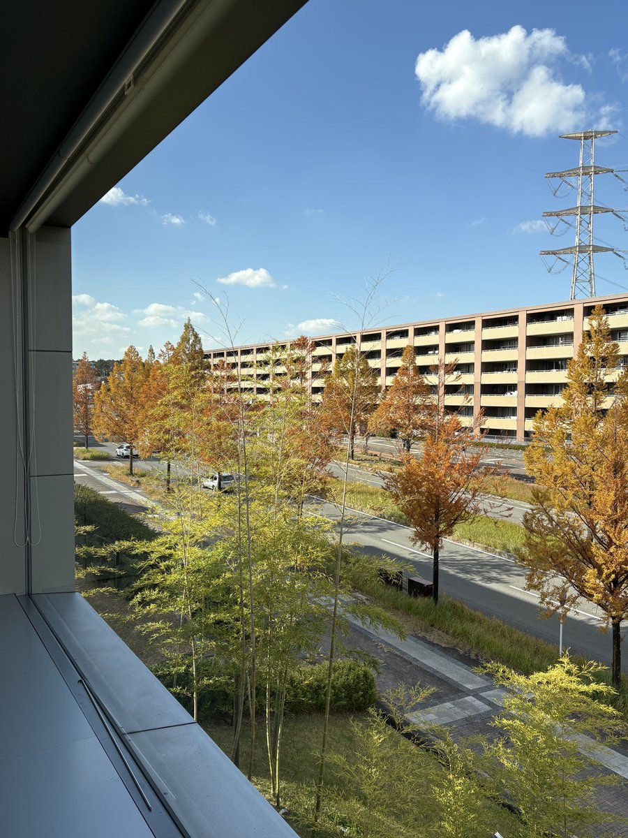 DynamicToolsDT's tweet image. 弊社の目の前にあるメタセコイアたちが色付いています🍁
会議室からも見えているので日々癒されています☺️

#ダイナミックツール  #精華町  #紅葉  #工作機械