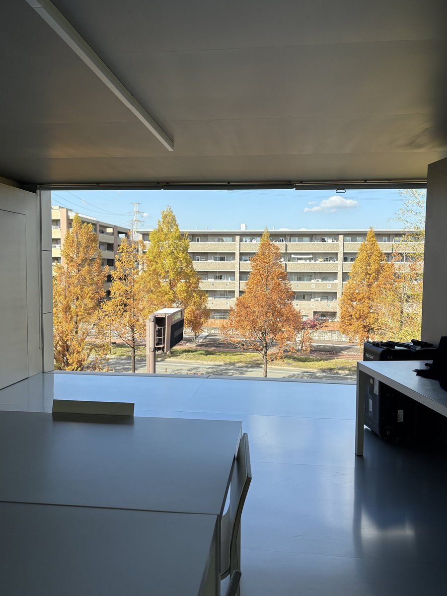 DynamicToolsDT's tweet image. 弊社の目の前にあるメタセコイアたちが色付いています🍁
会議室からも見えているので日々癒されています☺️

#ダイナミックツール  #精華町  #紅葉  #工作機械