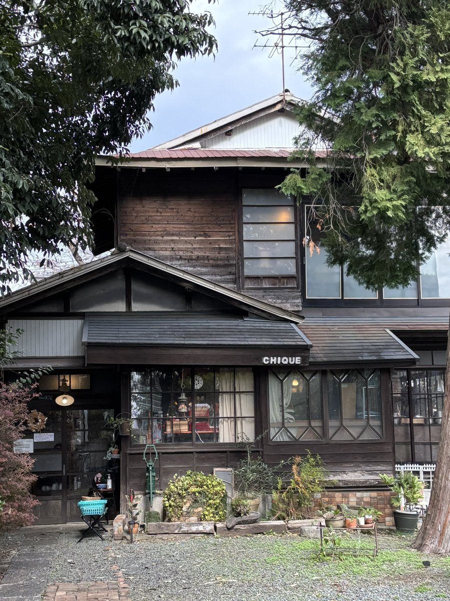 kitsukame3's tweet photo. 本日のランチ𓂃𓈒𓂂🍝🌿 ܸ
以前はカフェだけでしたが
最近ランチも始めたようです♪
#昔懐かしナポリタン
#トロピカルピーチクリームソーダ🍑
#Chique
#シッキ
#熊本_坪井町 https://t.co/b8uo06Je4Z