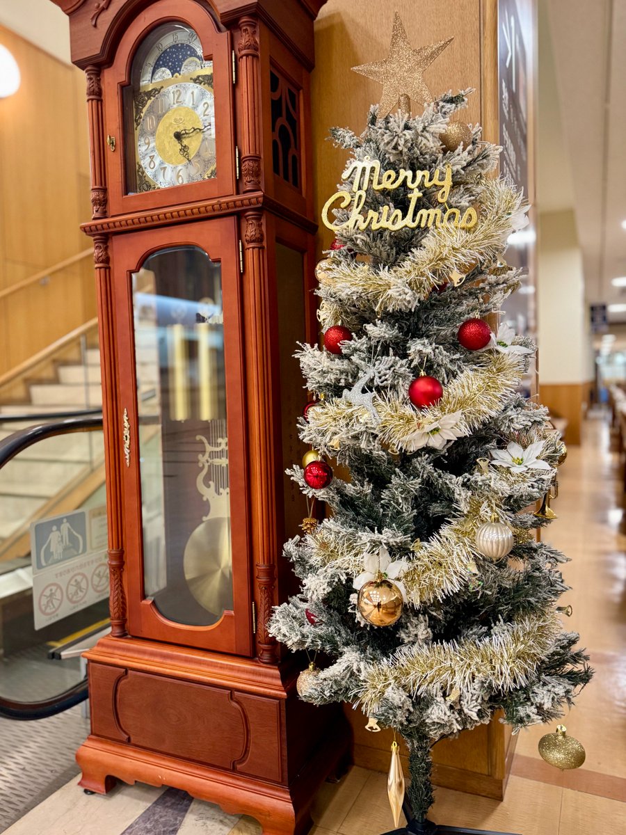 toyooka_hp's tweet photo. 豊岡病院では、クリスマスツリーやオーナメントを飾りつけ、今年もクリスマスデコレーションを行いました🎅🎄✨
ご来院される皆さまが、少しでも温かい気持ちで過ごせますように🎁💛
ぜひご覧くださいね😌🌟
#豊岡病院 #クリスマス　#クリスマスツリー #デコレーション #院内装飾 https://t.co/gUyqVmmHVv