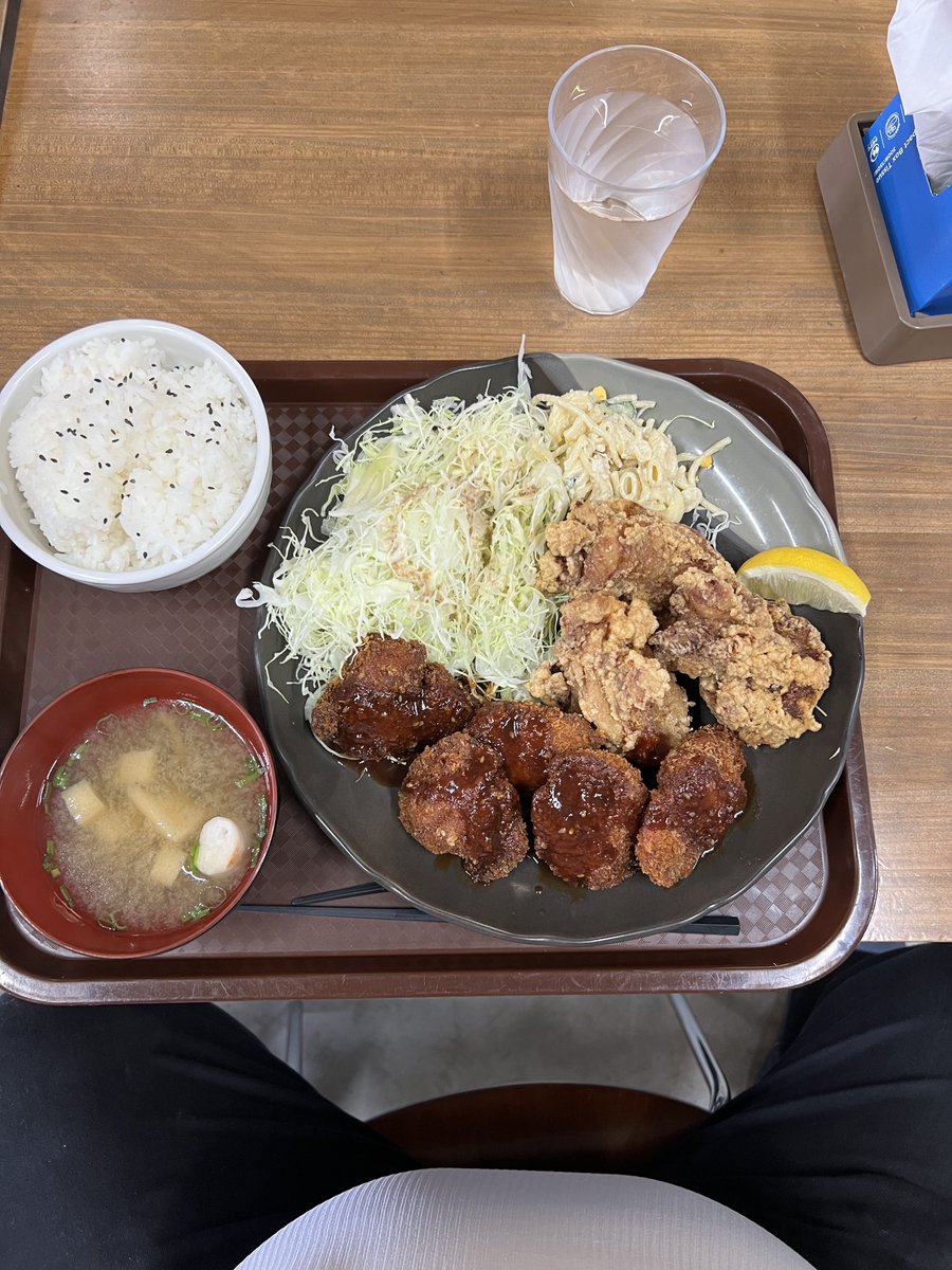 えっと、初めて来た定食屋なんだけどこれで1150円のご飯中盛で満足感がヤバい。
