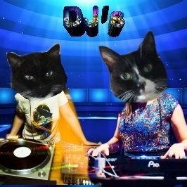 CinniMini2's tweet image. That&apos;s all for us for today. Please clap your paws to welcome your next DJ, Truman @TweetingTruman. - Angels Oreo and Hydrox #Nipclub