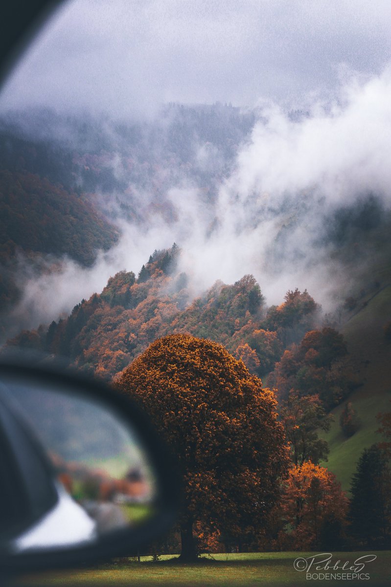 paused between
mirror, meadow
and the wall