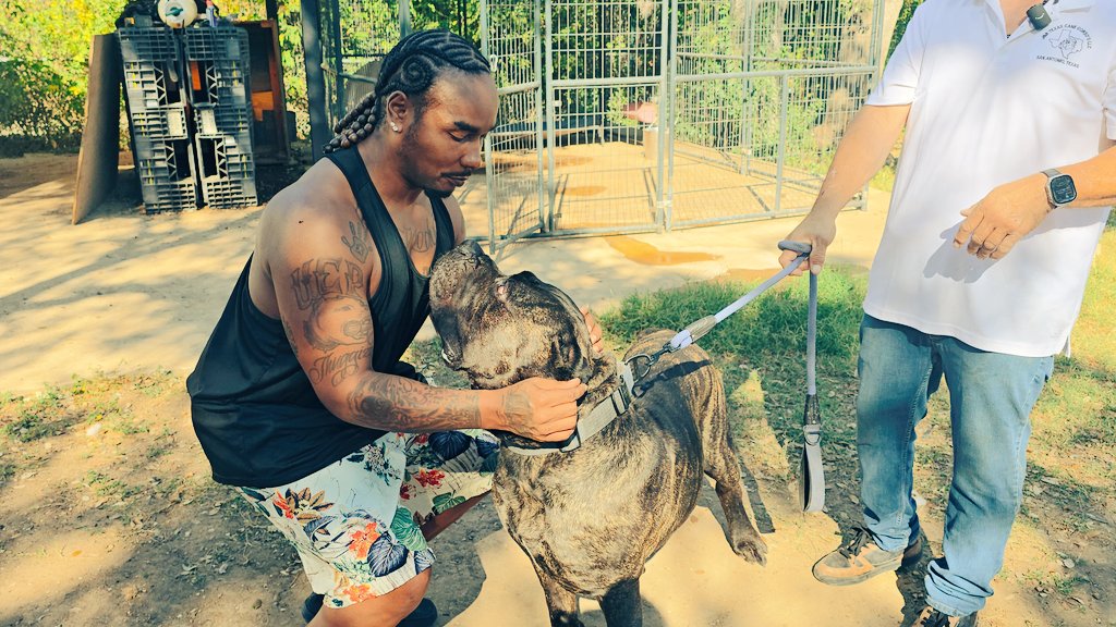 jandbtexascanecorsos.godaddysites.com