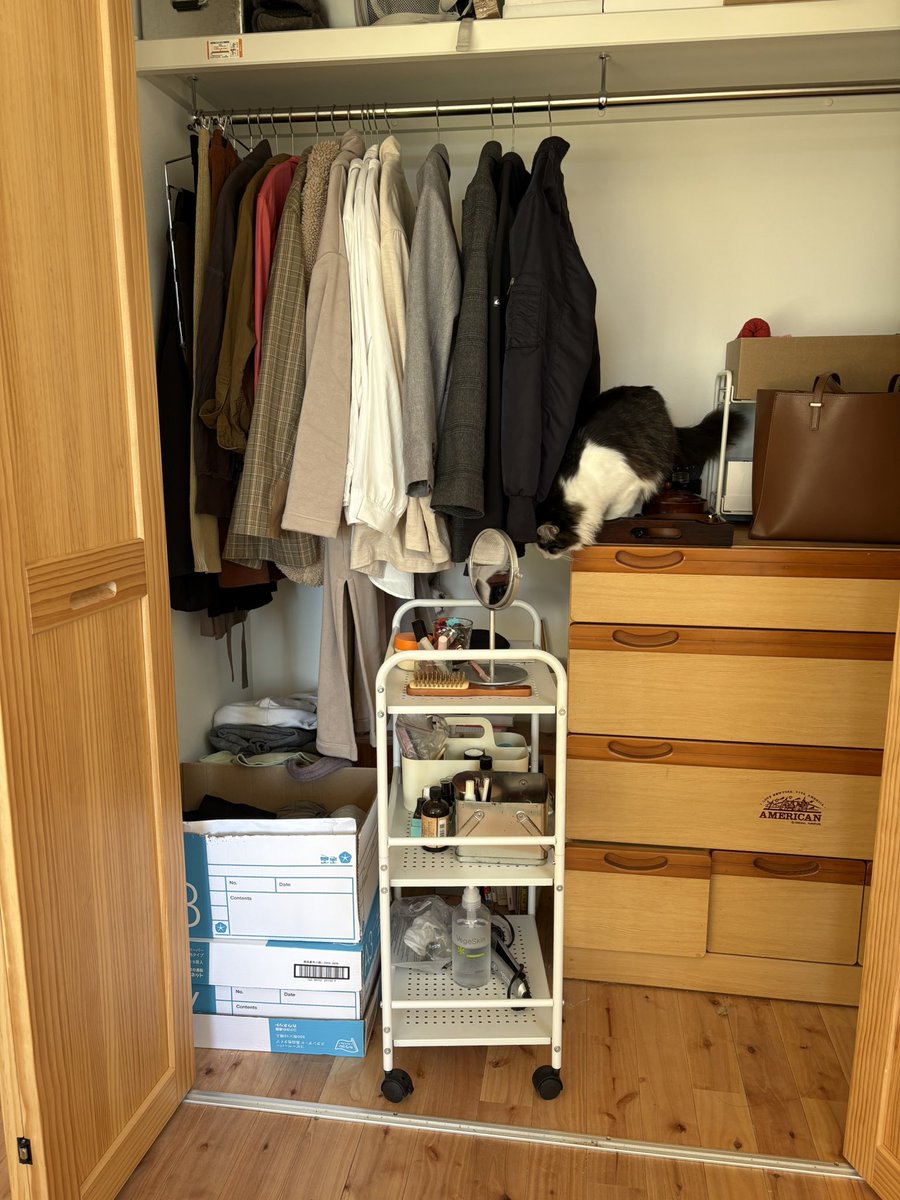 ネコちゃんを２匹探せ〜！