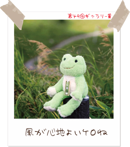カエルのピクルス かえるのピクルス/pickles the frog (@picklesthefrog6) / Posts / X