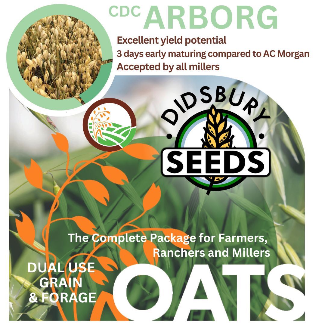 Looking to fill your bins with oats? CDC Arborg would have our vote! These white milling oats are very high-yielding, excellent standing, and have exceptional milling acceptance! Give Shawn or Austin a call at 403-994-SEED to discuss all of your seed and treatment for next year!