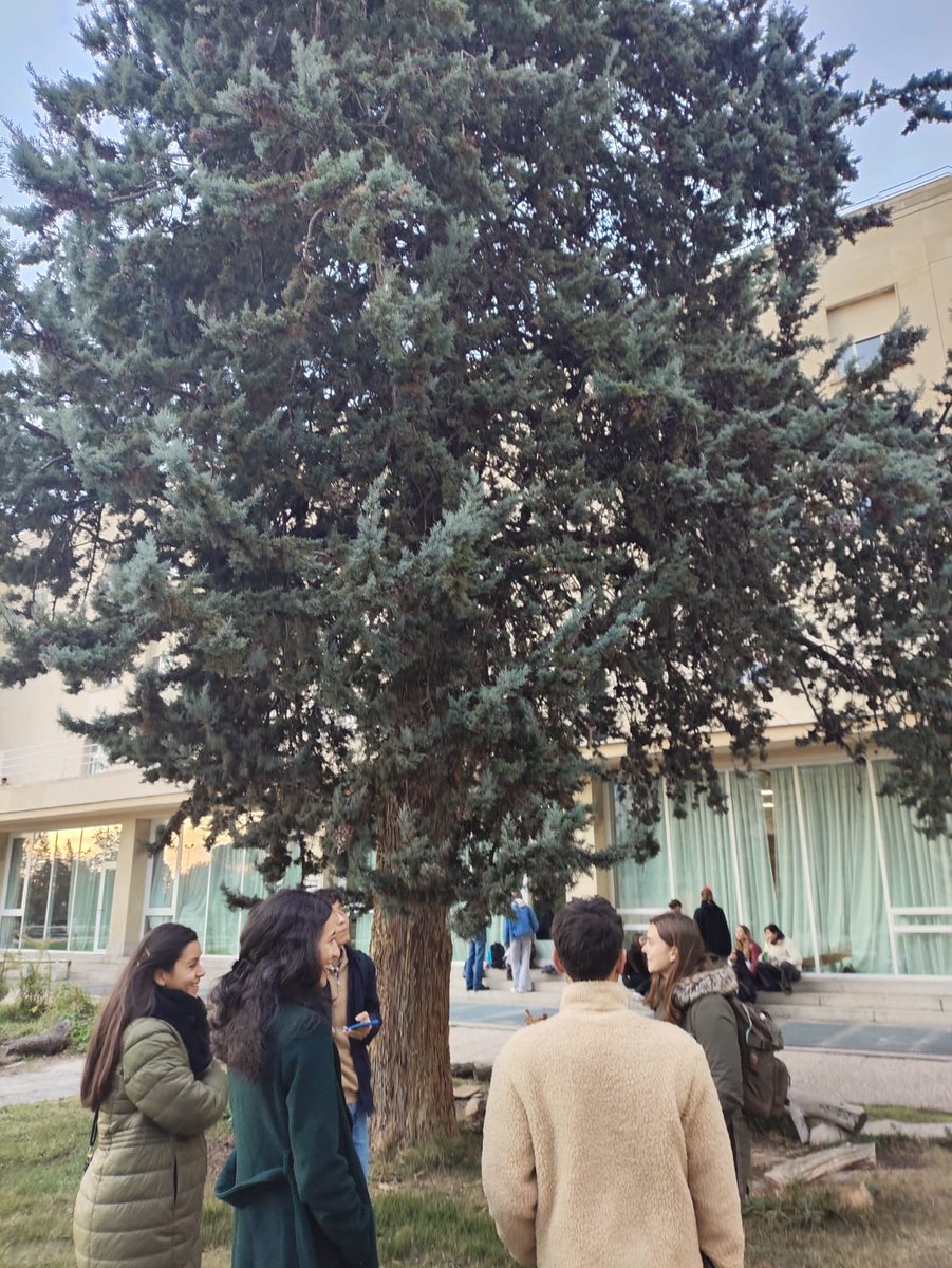 SoniaRoigGomez's tweet image. Junto a compañeros de #etsam y @arbocity hemos preparado otra actividad en #UPMConecta @La_UPM @MontesUPM dirigida a evaluar #ServiciosEcosistemicos del #bosqueUrbano pasando por hacer un buen inventario!  @iTreeTools