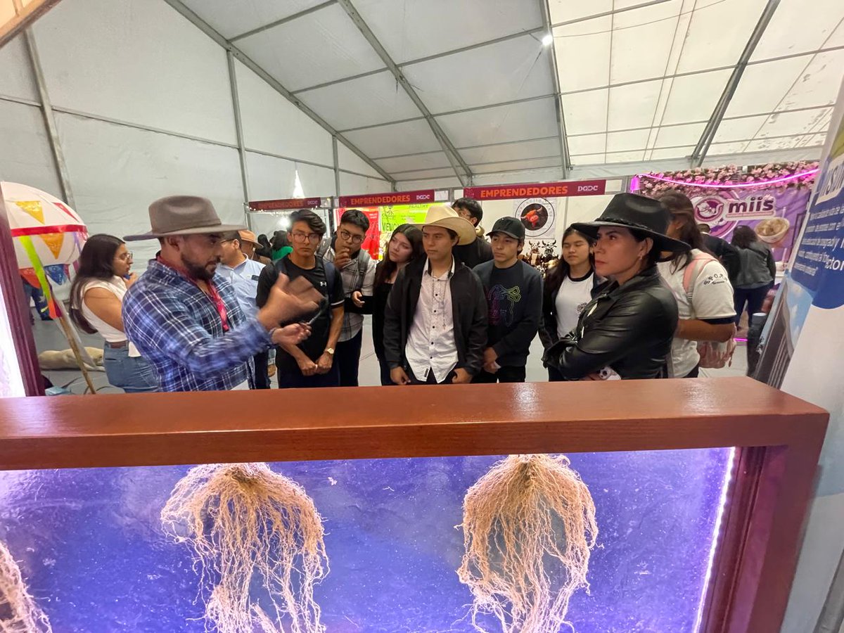 #NotaInformativa El Colegio de Postgraduados, Campus Montecillo, presente en la XXX Feria Nacional de la Cultura Rural Chapingo 2025..
colpos.mx/cp/el-colegio-…
