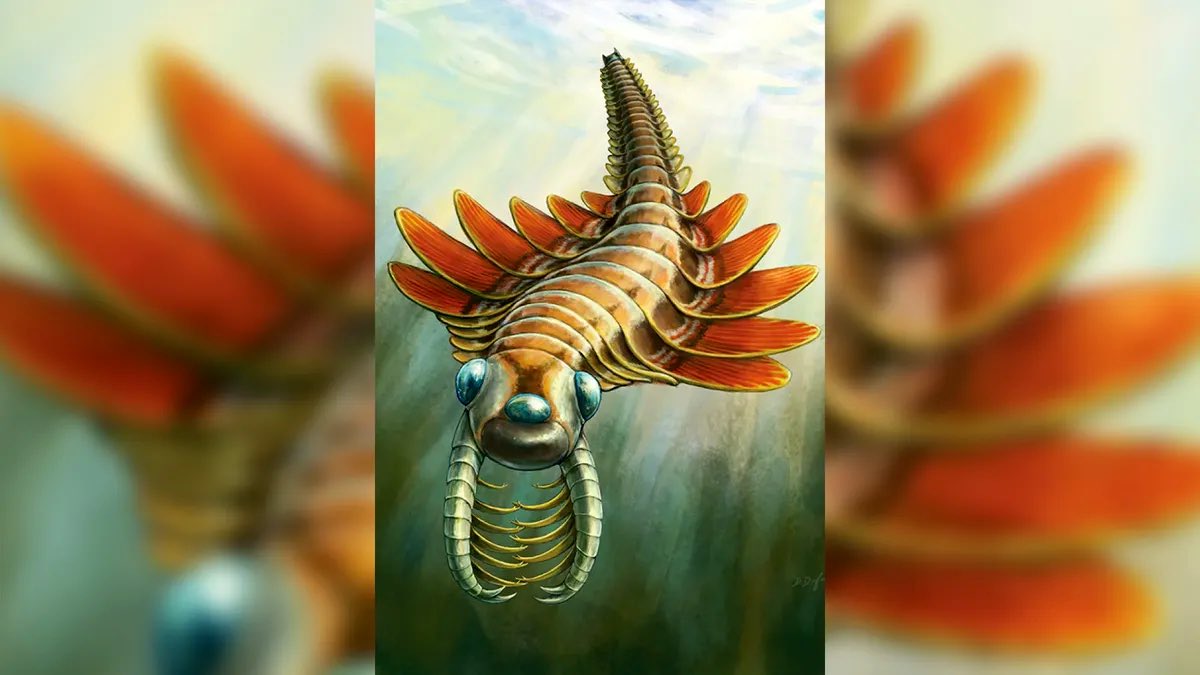 MaryamATweets's tweet image. From @CanGeo magazine (with beautiful illustrations by @MesozoicMuse) on @ROMtoronto #BurgessShale #fossil collection: “Real-life kaiju: What B.C.’s Burgess Shale reveals about bizarre Cambrian creatures” 🌊🐙🦑🪼🦐🦞🏔️🏕️🥾🔨🪨

🔗 📖: canadiangeographic.ca/articles/real-…