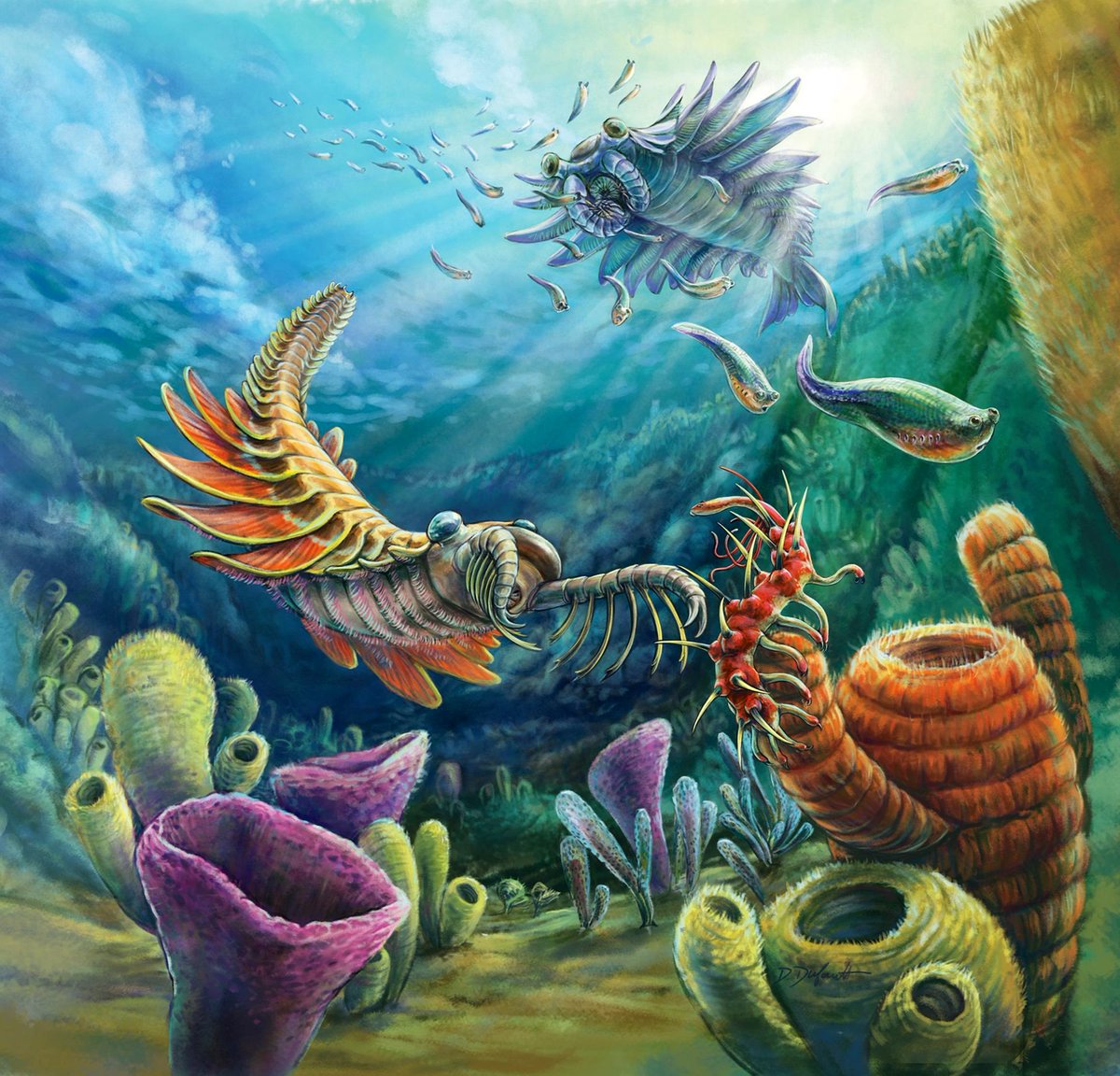 MaryamATweets's tweet image. From @CanGeo magazine (with beautiful illustrations by @MesozoicMuse) on @ROMtoronto #BurgessShale #fossil collection: “Real-life kaiju: What B.C.’s Burgess Shale reveals about bizarre Cambrian creatures” 🌊🐙🦑🪼🦐🦞🏔️🏕️🥾🔨🪨

🔗 📖: canadiangeographic.ca/articles/real-…