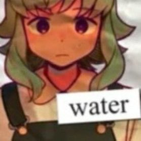 fernflare tweet media