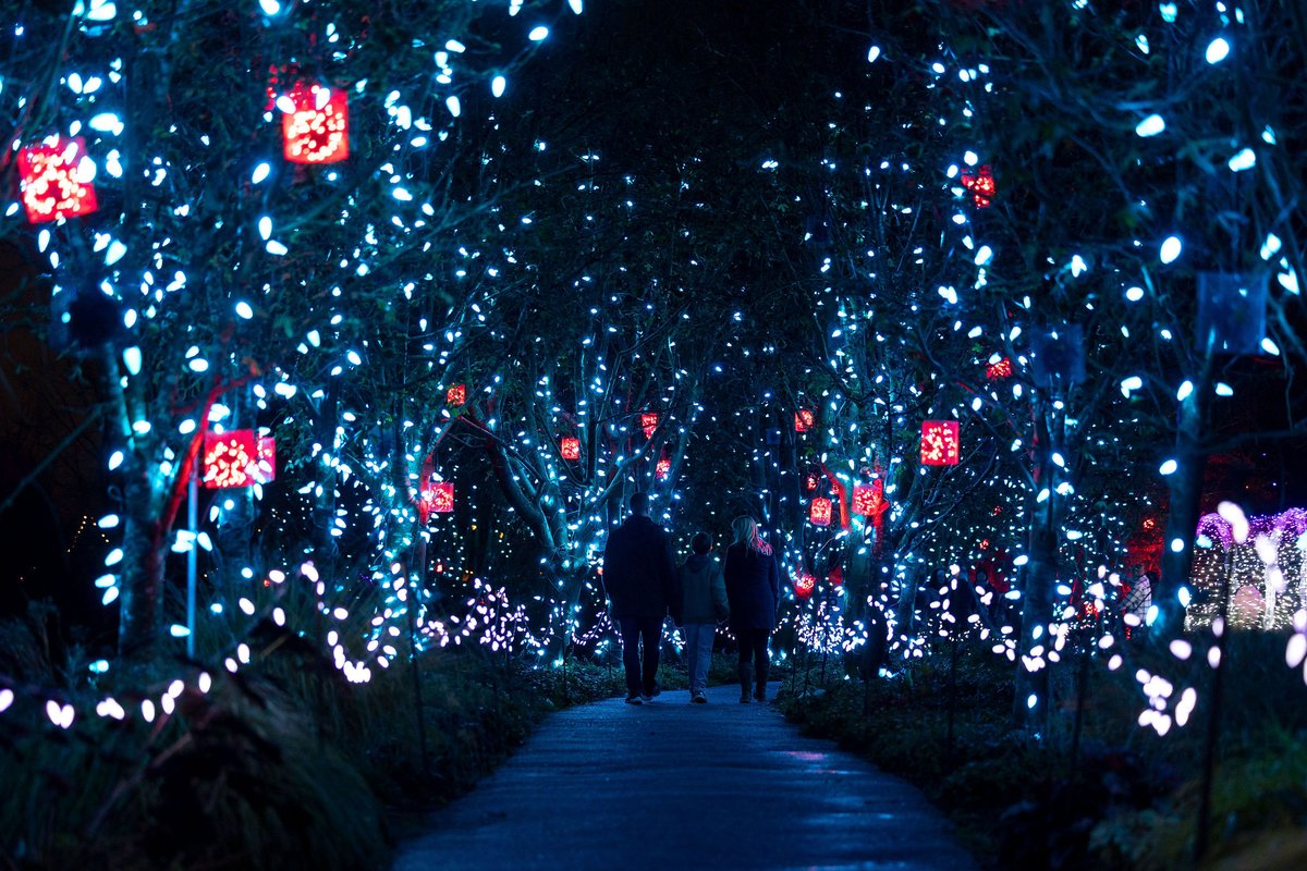 VanDusenGdn's tweet photo. The Sensory-Friendly Night at Festival of Lights returns on Tuesday, December 2!
⁣
🔇Audio levels lowered⁣
💡All flashing lights turned off
⬇️50% reduced event capacity⁣
📅 Tuesday, December 2

🔗Save 10% when you book your tickets before November 28: https://t.co/rHfqZ7nqv3 https://t.co/EpOdH7onox