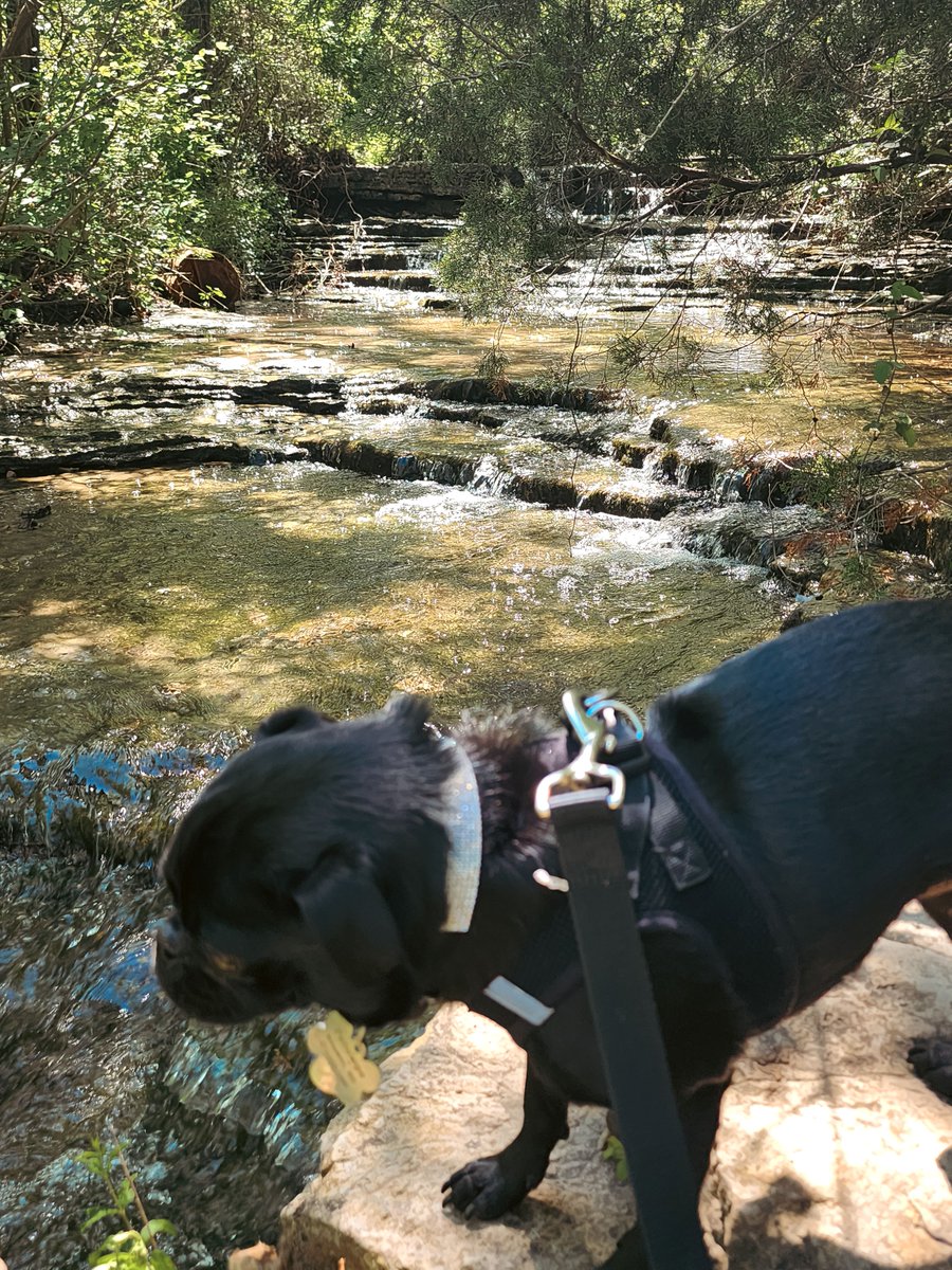 laketherapypics's tweet image. Stumbled on the tiniest spa in Arkansas—a perfect waterfall pool. If you had a private micro-spa, would it be creekside or oceanside? #ArkansasOutdoors #ChasingWaterfalls #WeekendWanderer