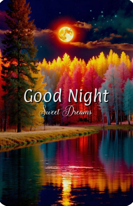 Kaycee4realz's tweet image. Good night friends. 😴💤💫