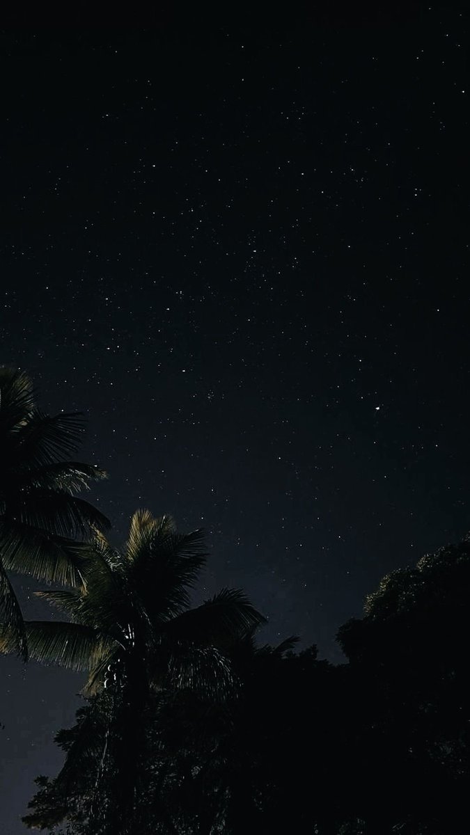 Low light typa night 🕶🌑️🌴