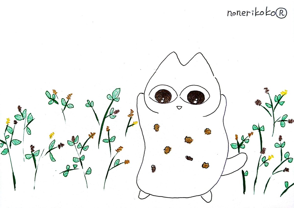 nonerikoko's tweet image. おみやげくっついてくる
くさむら。

#のねりここ
2035日目
#くっつき虫　#ひっつき虫