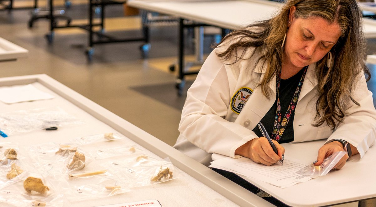 dodpaa's tweet photo. Read the full story: https://t.co/S4vHFVvBMu
Photos: U.S. Navy MCSN Lawrence Whaley
#DPAA #HonorThePromise #OurMissing #POWMIA #ScienceInService #AccountingMission #ForensicAnthropology #BringingThemHome https://t.co/GW0ycxMBbq