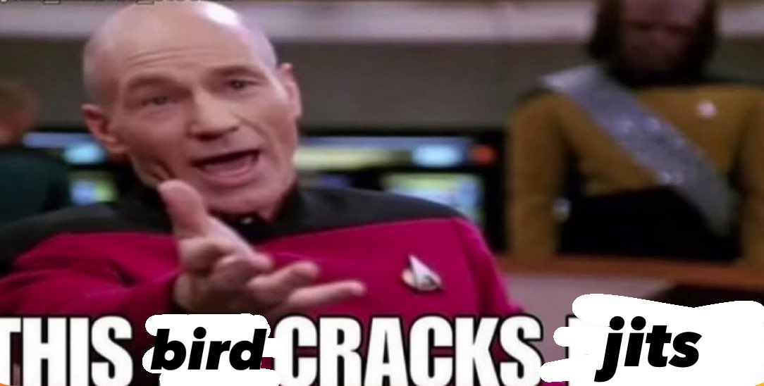 soda_sultan's tweet image. 