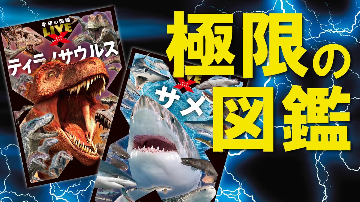 どぅっきー (@dxuccy_yp) / Posts / X