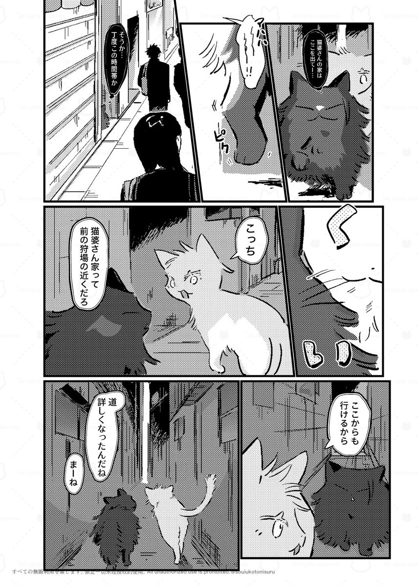 猫五夏(ねこごげ)143 144
