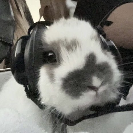 seobunniess's tweet image. 