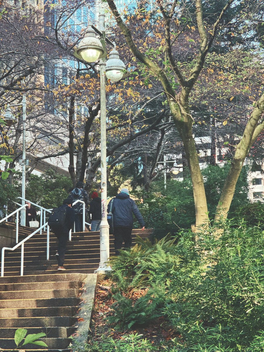 GunveetDang's tweet photo. Sunny days?

(Vancouver, fall, downtown Vancouver, British Columbia) https://t.co/izRTcvYaBa
