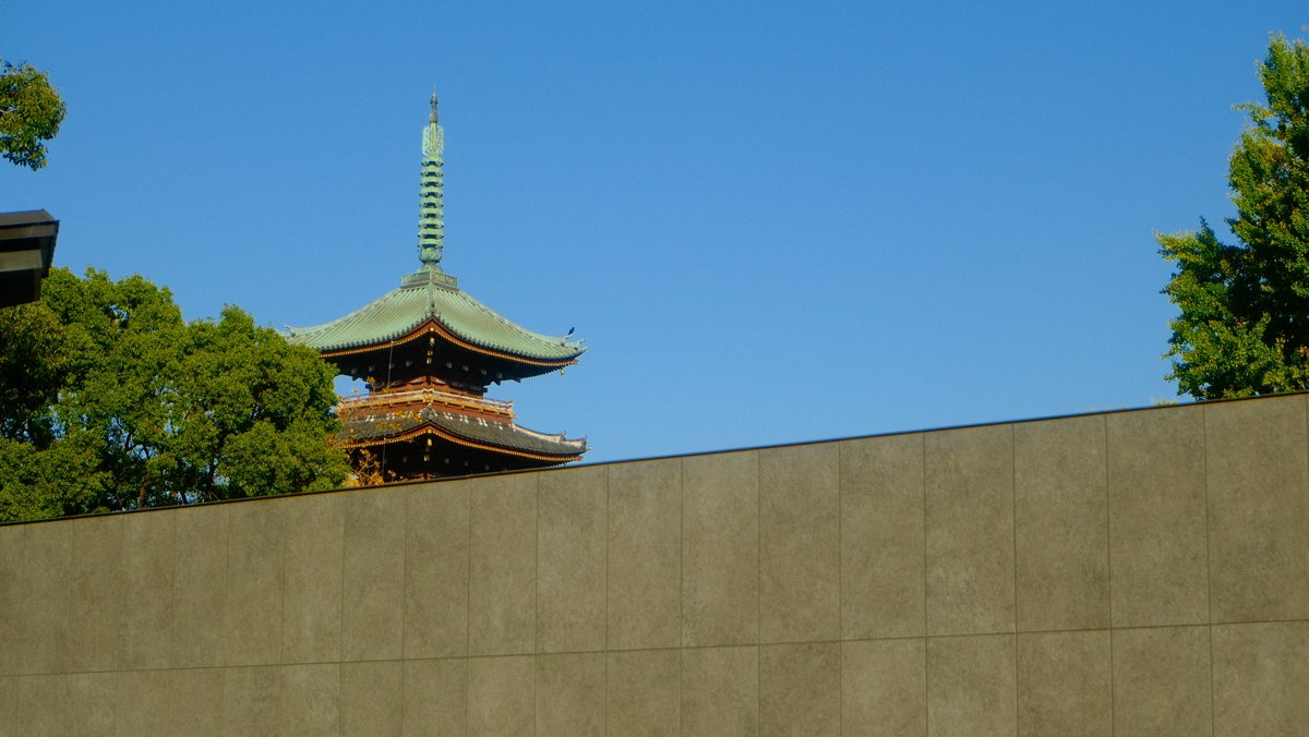 dutchtide's tweet image. Moments on the lonely road (pt 4 I think)

Gm from Ueno