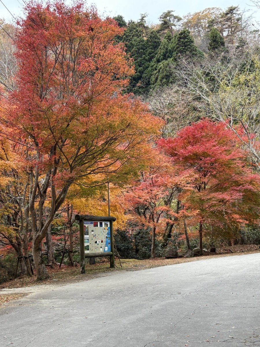 takahagikanko's tweet photo. 11月20日(木)花貫渓谷紅葉状況
天気は曇りで、白い吐息が見えるような気温に。
花貫駐車場出発地点や紅葉並木の道のりでも”見ごろ”となり、紅の木々を堪能しながら散歩できます！
#茨城観光
#フォトスポット
#森林浴
#茨城の紅葉に癒される
#DiscoverIbaraki https://t.co/BvFccFRN1J