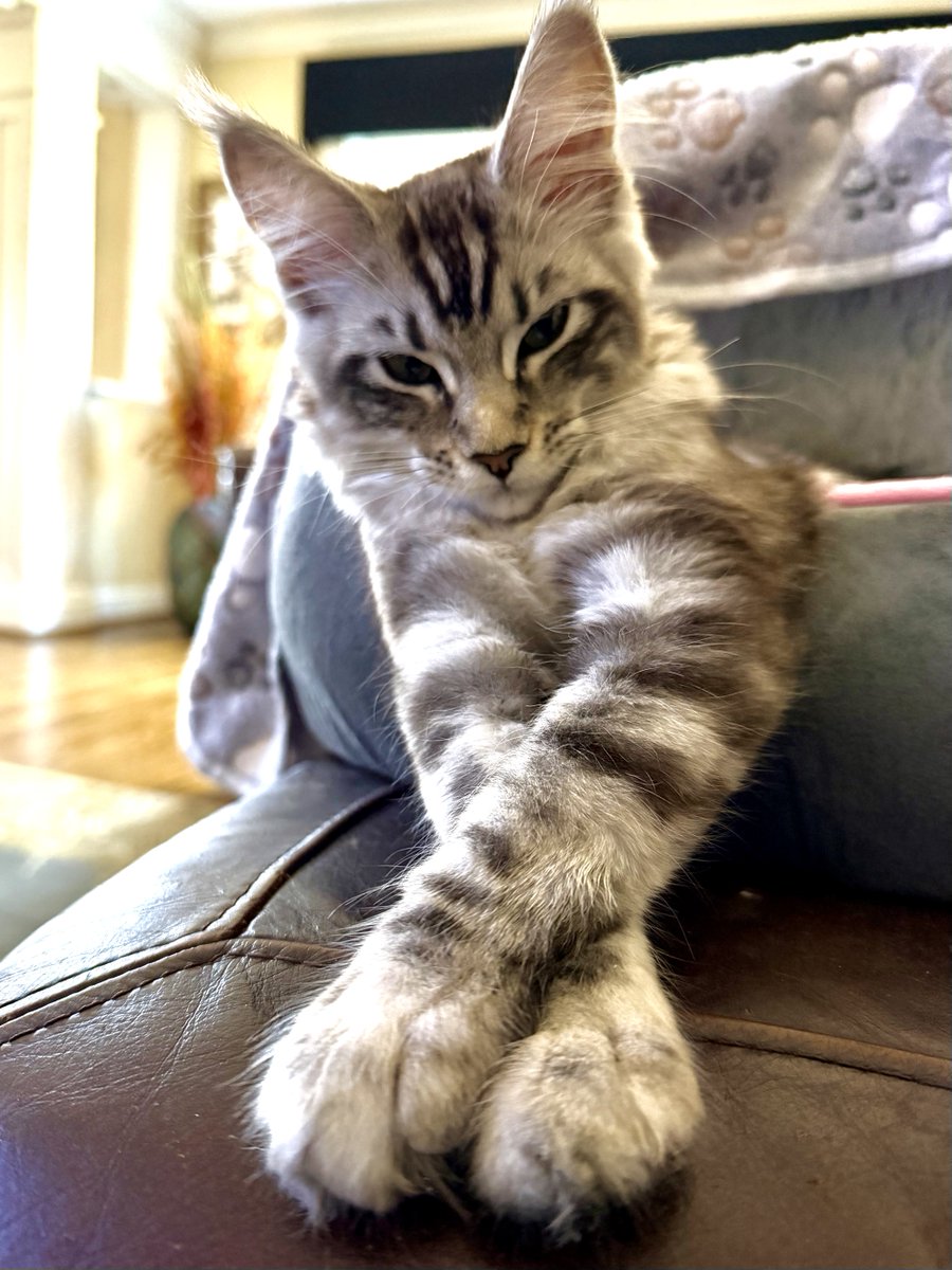 “Sit down Stu we need to go over some house rules.”