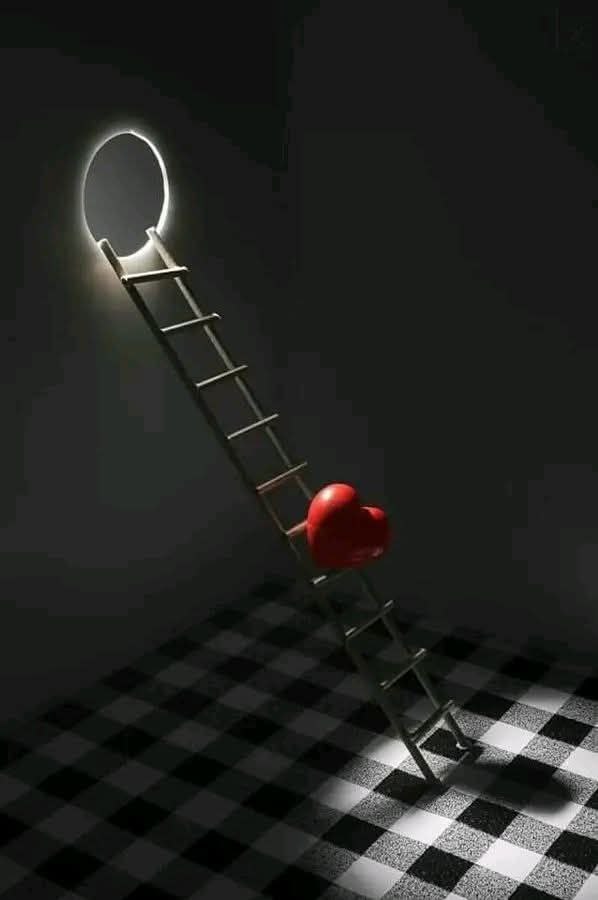 Brielle_z's tweet image. 🥰 No matter the circumstances and no matter the situations, do not carry in your heart anything but good intentions. &quot;For you are provided for according to your intentions.&quot;..👌🌿💐

#Thoughts