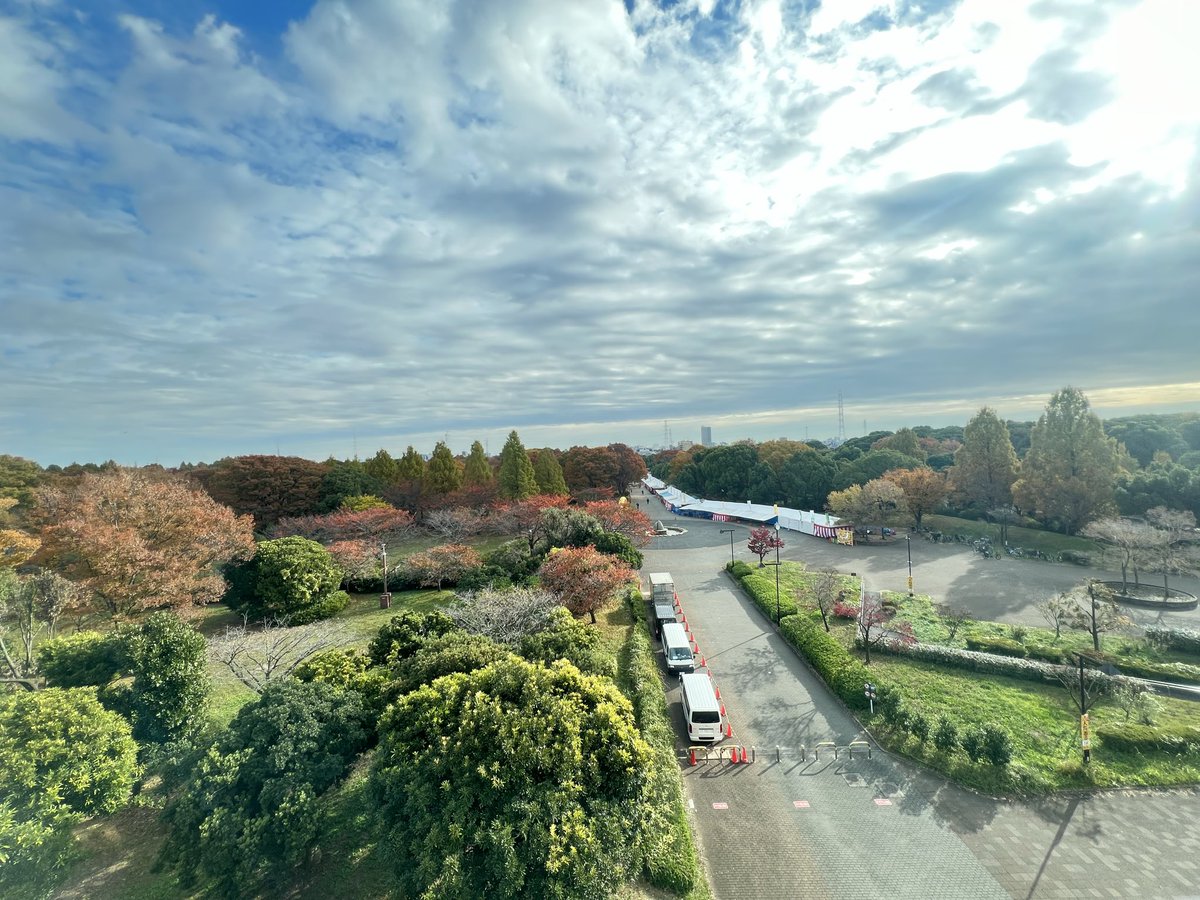 miki_mfb's tweet image. 薄日が射してます🌤️