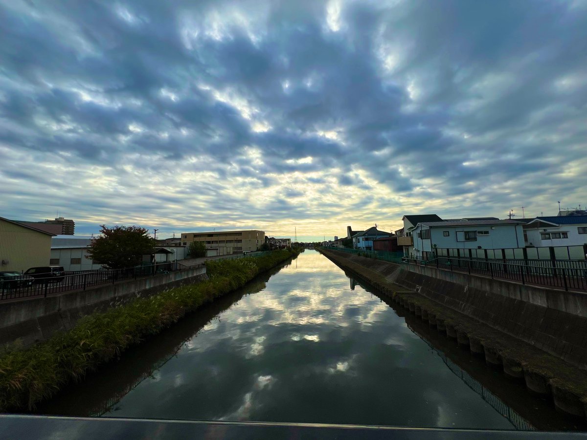 miki_mfb's tweet image. 薄日が射してます🌤️