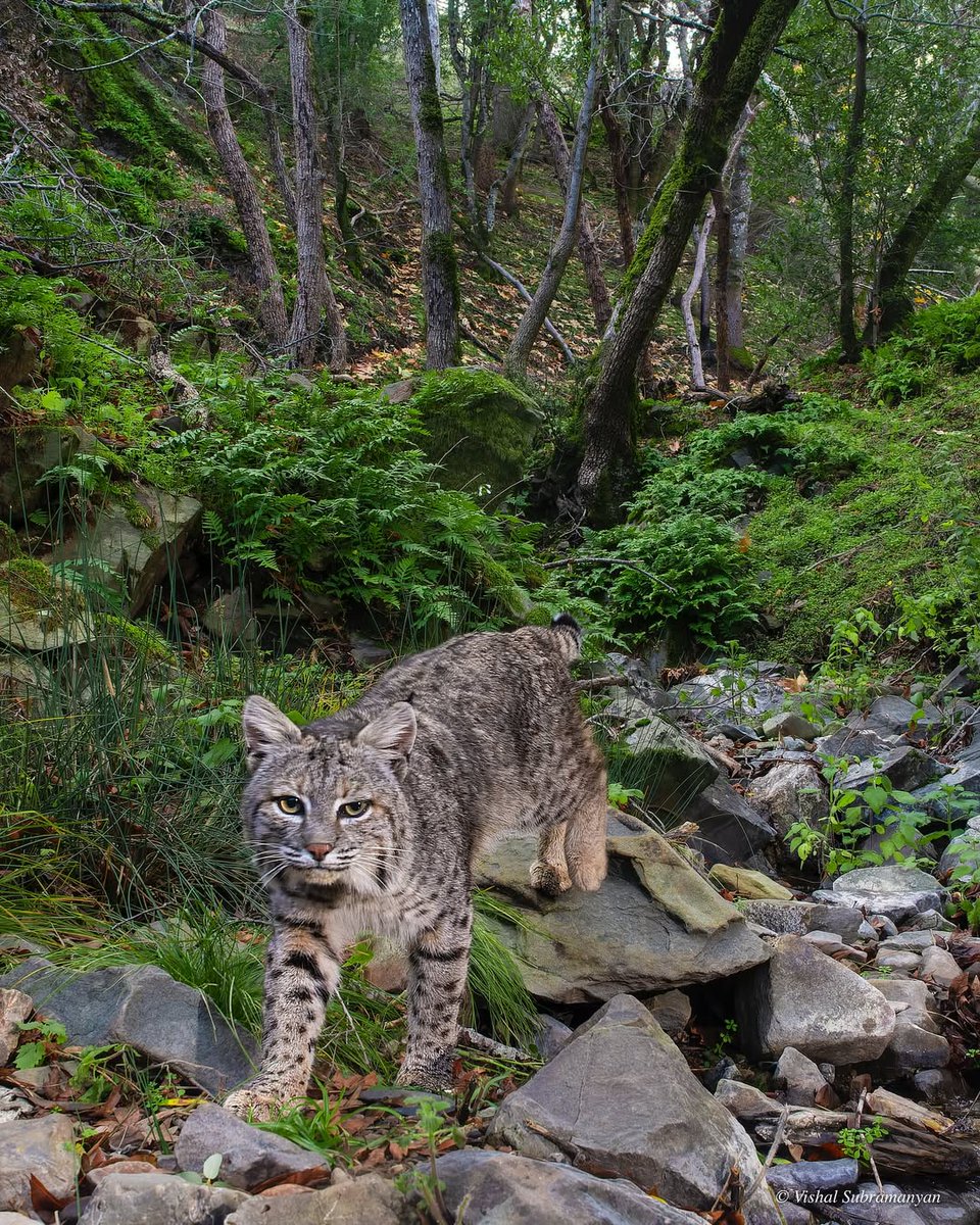 VagrantTravels's tweet image. 