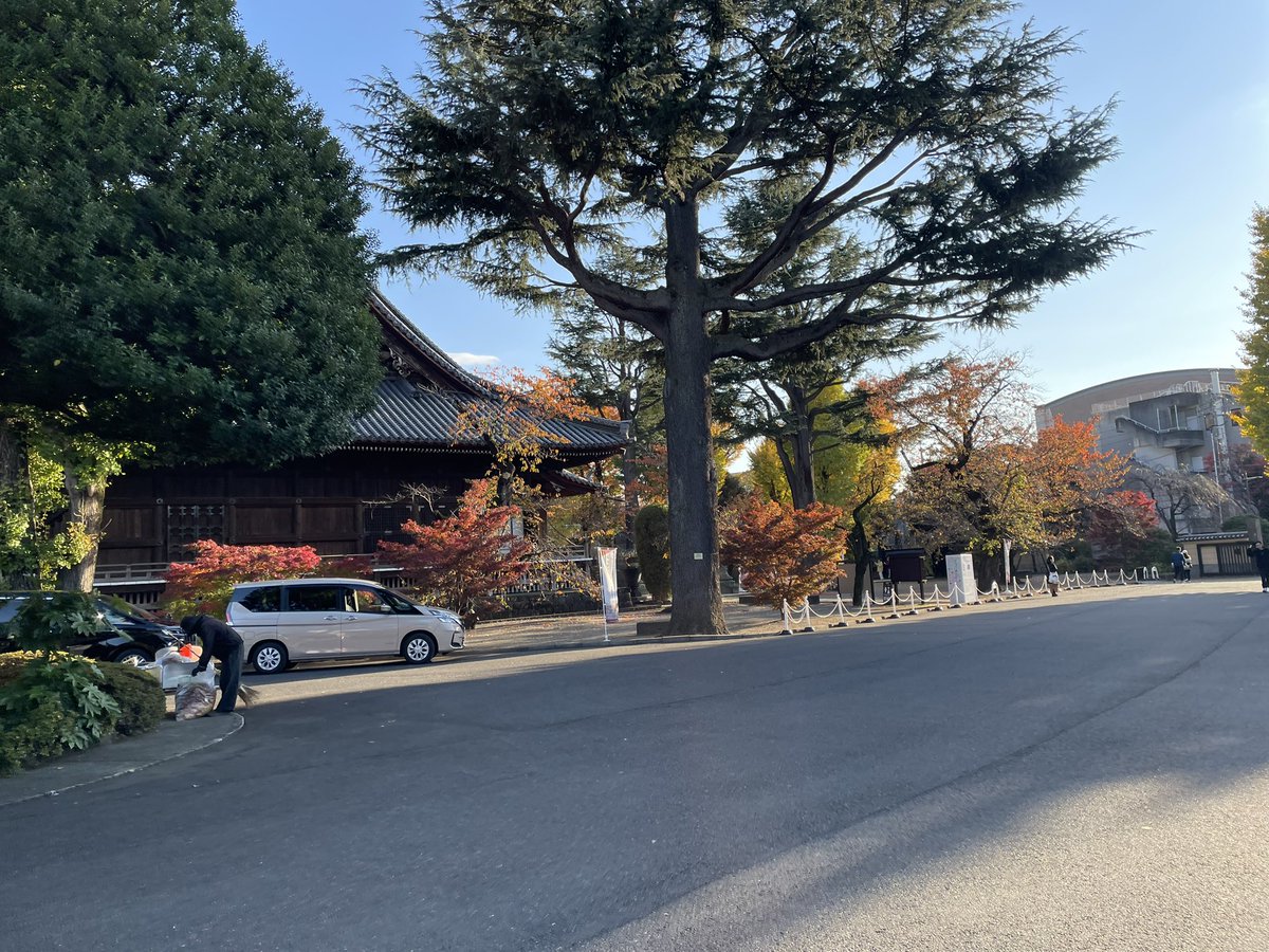 sanpu333's tweet photo. おはおは三風力車です‼���
谷中はいま空高く、��陽と紅葉が美しいシーズン😍
洗練された空気、凛とした仏閣、賑やかな商店街..ここは異国か、はたまた、本来の日本の風景か..🇯🇵

#三風 #人力車 #谷中 #yanesen
#tokyorickshaw #VisitJapan #HiddenTokyo #CulturalExperience https://t.co/Fv7cP253RI