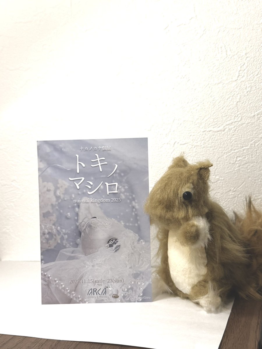 tomoru_fantasy's tweet photo. 縫々王国の個展「トキノマシロ」に行ってきました♪
真白な美しいボタンウサギさんが座っておられました✨
会期は23日まで。元町にあるARCAさんにて。
@nuinuikingdom 
@arca_zakka_shop https://t.co/WeJXRNz7i5