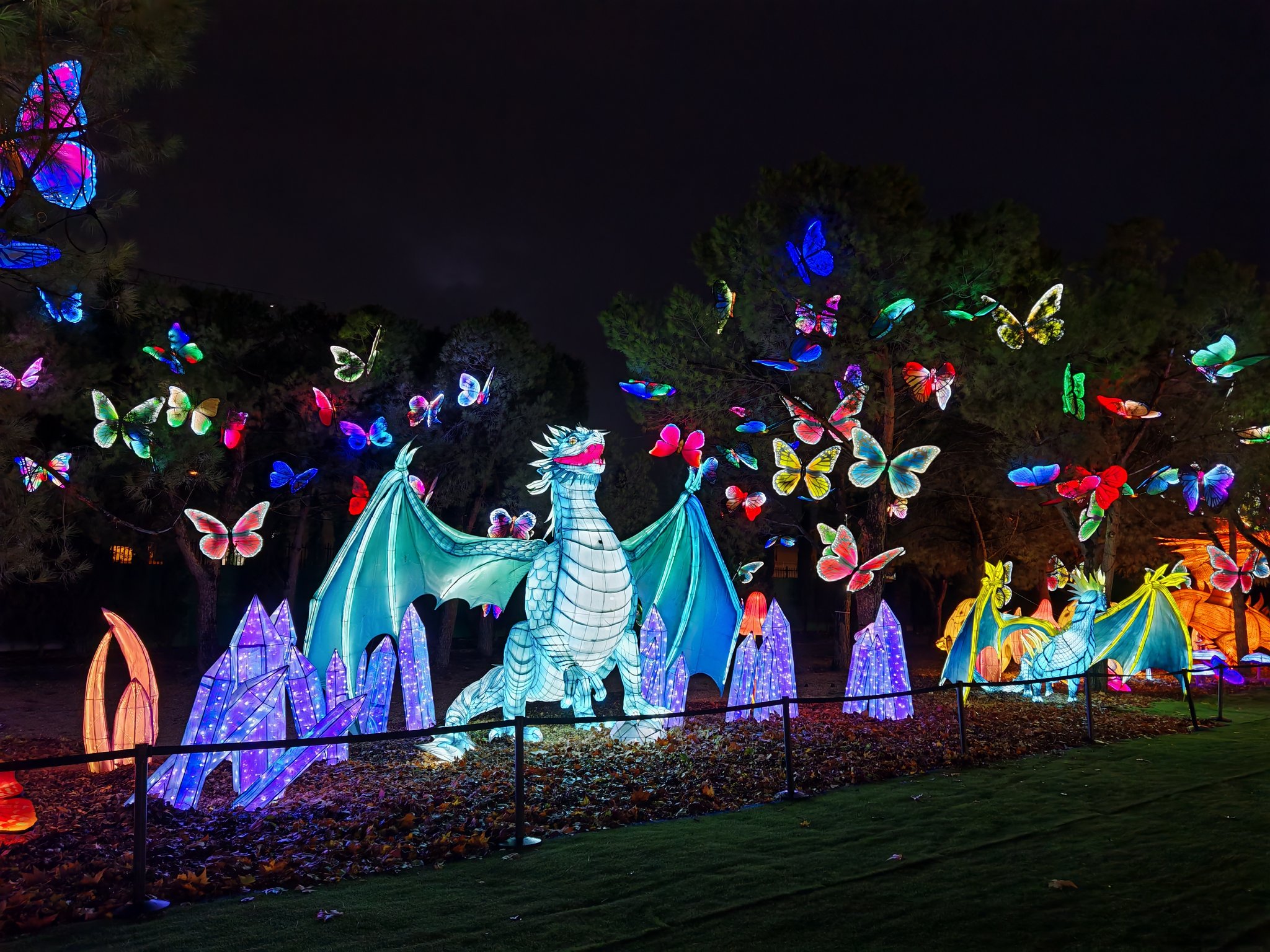 Las Mágicas Navidades de Torrejón de Ardoz - Figuras de Luces Dragón