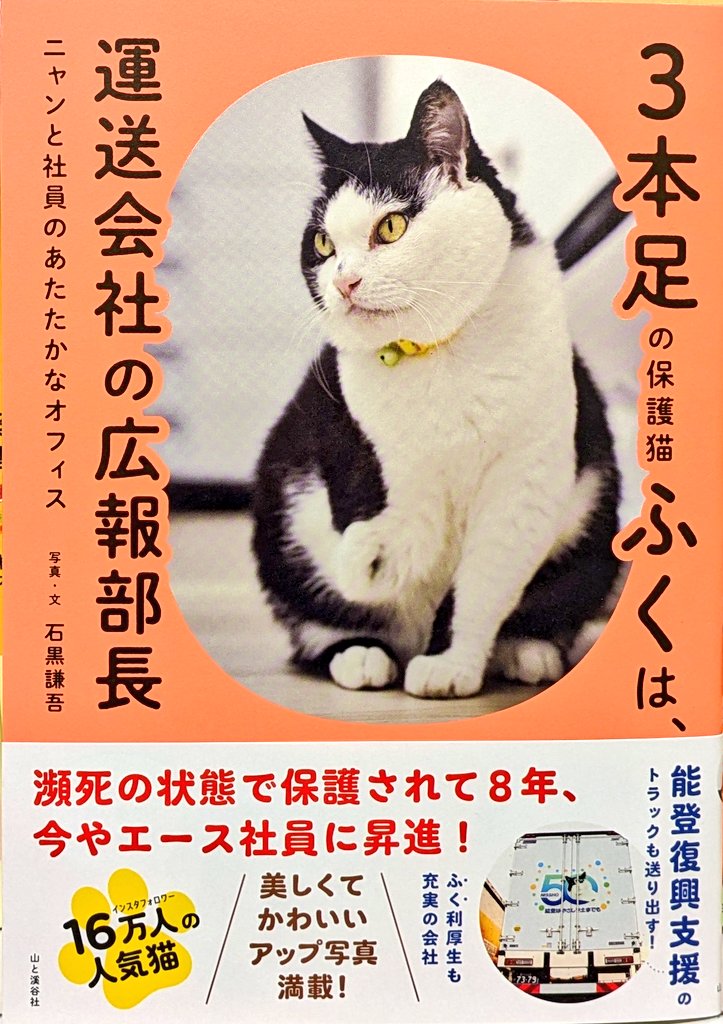 龍脈の精髄 煙水晶 大地と魂をつなぐ守護の石 売上一部
