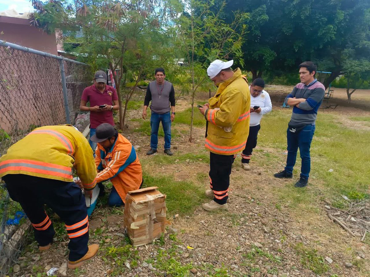 Criptex_lh's tweet image. Escuela Primaria Tierra y Libertad rescata a oso hormiguero

facebook.com/10006368478832…