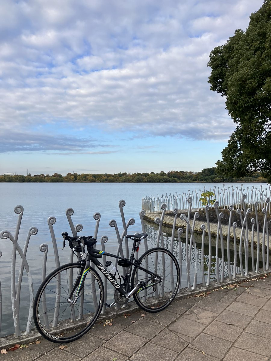 tnr_is_forever's tweet image. 旦那の職場から荒サイをゆる〜っと20㌔
みんな早朝から歩いて走って健康的だ〜‼️