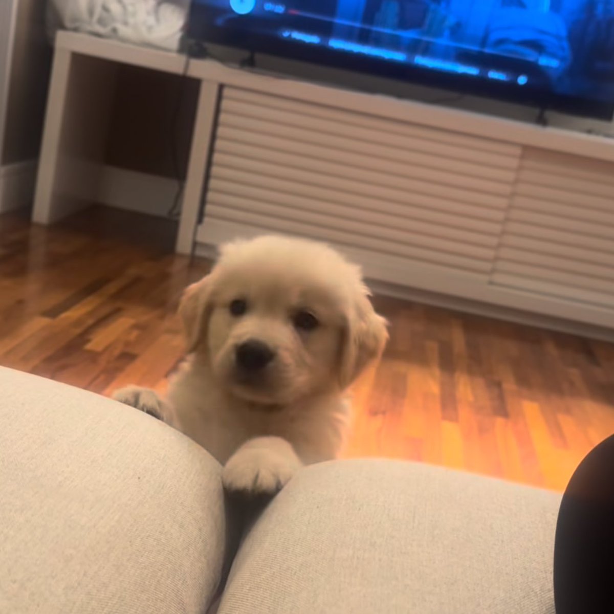 takemybear's tweet image. กุ้ดมอเน่งค้าบคนดี ไม่ทักมาเลยน้า ลืมกันแล้วม้าง 🥺