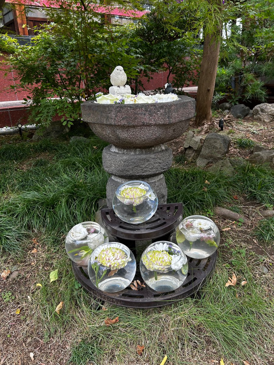 kimu_treeforest's tweet image. 『NVIDIAの決算が“化け物級”だった理由』

AI時代の主役、NVIDIA。
今回の決算も、正直やばかったです。

◆決算の数字
・売上高は570億ドル（前年同期比＋62％）
・データセンター売上は512億ドル（前年同期比＋66％）
・EPSは1.30ドル（前期1.08からさらに成長）
・次の四半期予想は650億ドル…