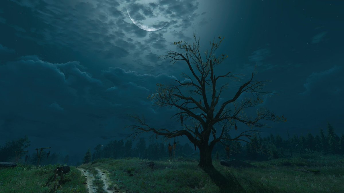 xXAboodeXx5's tweet photo. #thewitcher3  #TheWitcher3NextGen

@CDPROJEKTRED @thewitcher 📸❤️ https://t.co/T6u6llPGzC