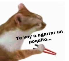 Psic. Diego Vidal tweet media