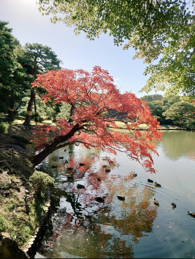 sysadgroup's tweet image. おはようございます🍛
本日もひんやりとした空気が漂っていますが晴れていて過ごしやすそうです☺️🍂
#企業公式秋のフォロー祭り
#企業公式相互フォロー
#企業公式が朝の挨拶を言い合う
#企業公式が毎朝地元の天気を言い合う
#企業公式さんと繋がりたい…