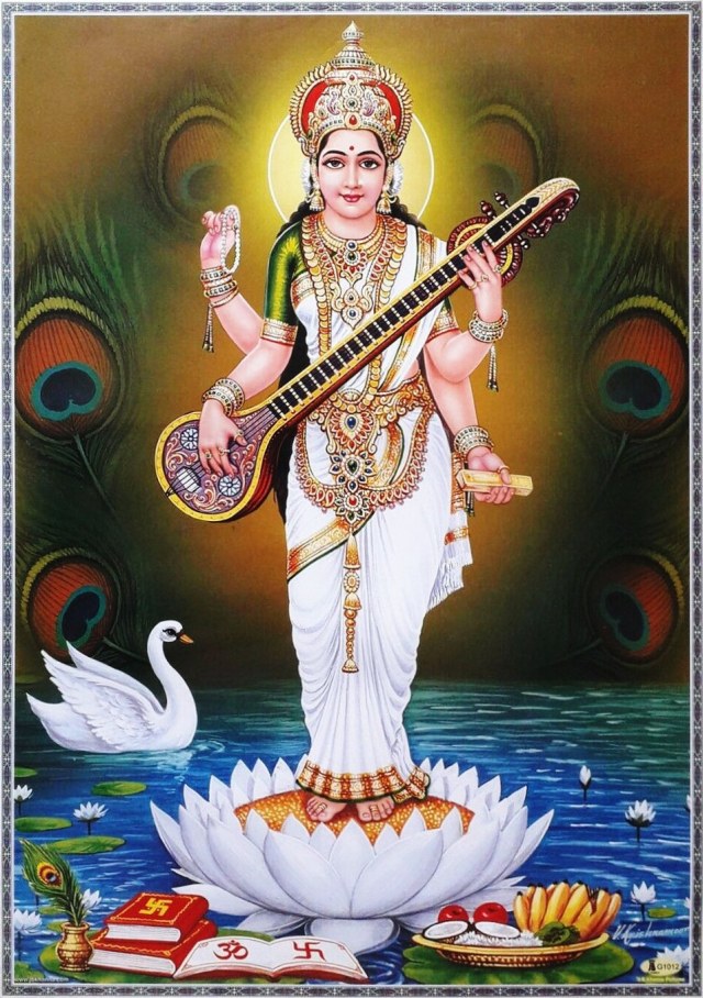 Indian Aesthetics tweet media