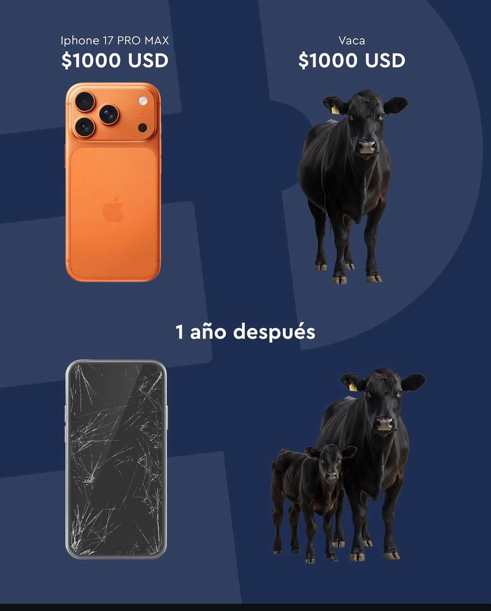 Alain Rocben (@alainrocbenoff) on Twitter photo 