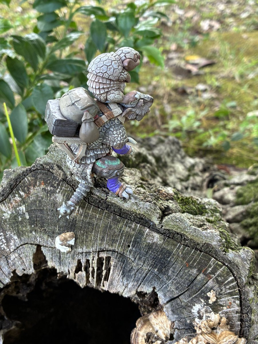 mesonosuke's tweet image. おはようございます